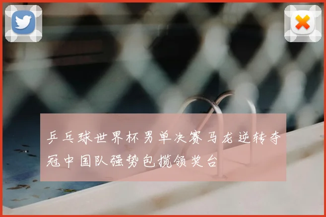 乒乓球世界杯男单决赛马龙逆转夺冠中国队强势包揽领奖台