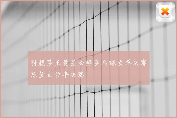 孙颖莎王曼昱会师乒乓球女单决赛陈梦止步半决赛