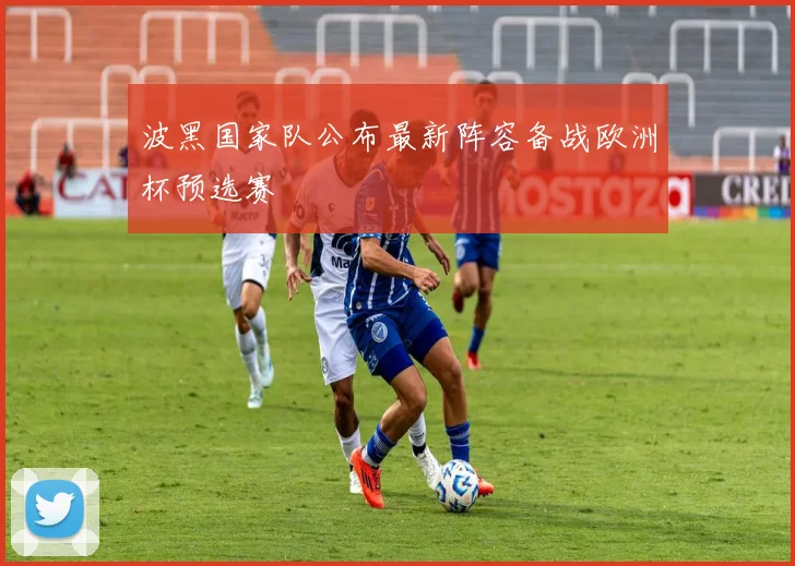波黑国家队公布最新阵容备战欧洲杯预选赛