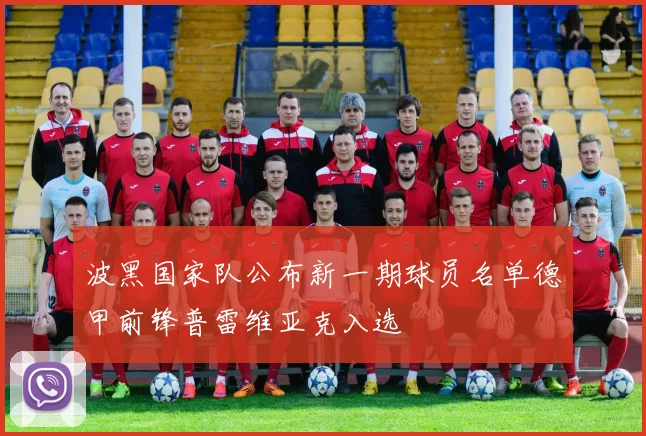 波黑国家队公布新一期球员名单德甲前锋普雷维亚克入选