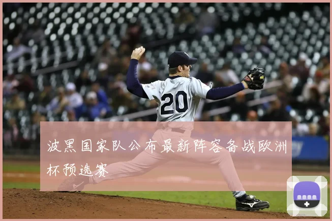 波黑国家队公布最新阵容备战欧洲杯预选赛