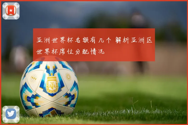 亚洲世界杯名额有几个 解析亚洲区世界杯席位分配情况