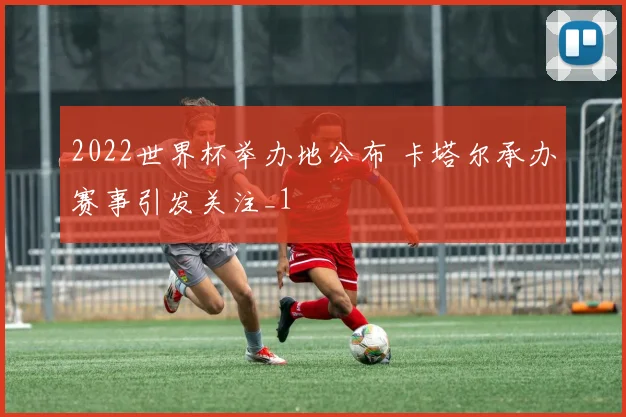 2022世界杯举办地公布 卡塔尔承办赛事引发关注_1