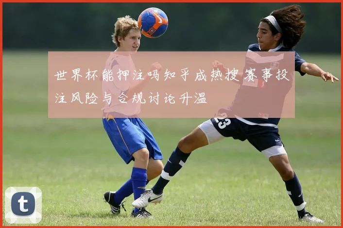 世界杯能押注吗知乎成热搜 赛事投注风险与合规讨论升温