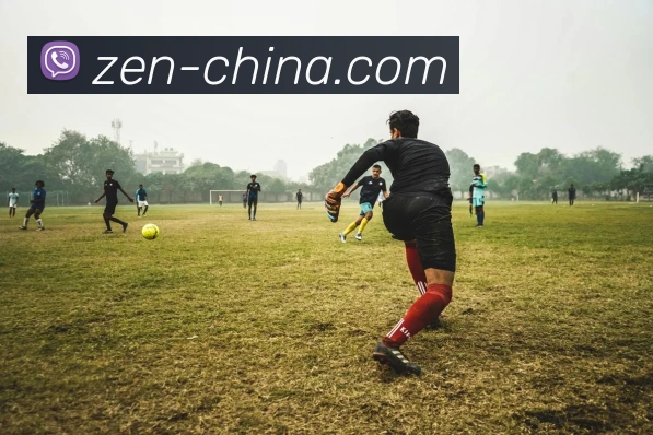 人人体育直播发展历程